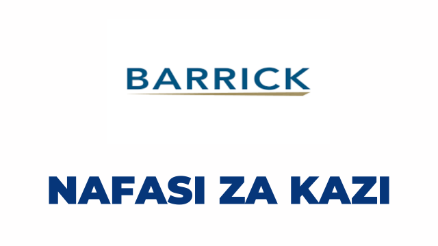 Boilermaker Jobs at Barrick Tanzania