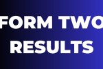 Form Two Results 2025