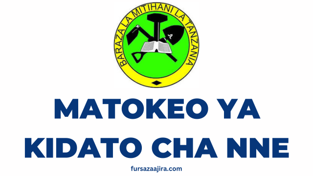 Matokeo ya Kidato cha Nne 2024 CSEE Check your Score