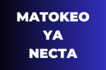 NECTA National Examinations Council of Tanzania