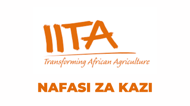 Research Associate Jobs at IITA