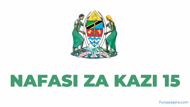 FETA, TAFICO, LITA Nafasi za Kazi 15 Ajira Portal 2025