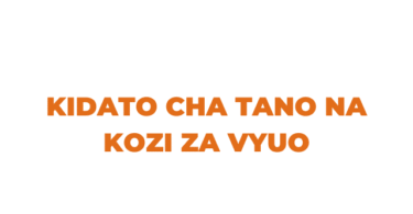 Machaguo ya Kidato cha Tano na Kozi za Vyuo vya Kati Tamisemi